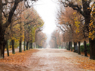 Rückblick: Symposium ?Stationäre Behandlung von Suchtkranken - Gestern und Heute?