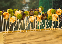 POOL7 Catering im Schloß Schönbrunn