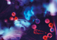 Ausstellung ESSENTIA, Künstlerische Positionen zum Sein