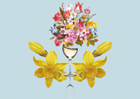 POOL7 Frühlingsfest, Ein Achterl in Ehren, ...