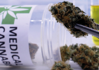 WIP7-Wissenschaft im POOL7