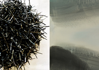 Vernissage TERRA INCOGNITA