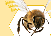 POOL7 Frühlingsfest